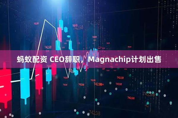 蚂蚁配资 CEO辞职，Magnachip计划出售