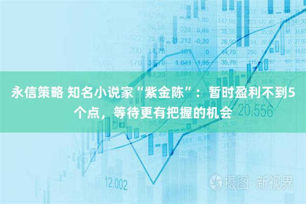 永信策略 知名小说家“紫金陈”：暂时盈利不到5个点，等待更有把握的机会