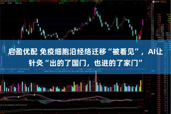 启盈优配 免疫细胞沿经络迁移“被看见”，AI让针灸“出的了国门，也进的了家门”